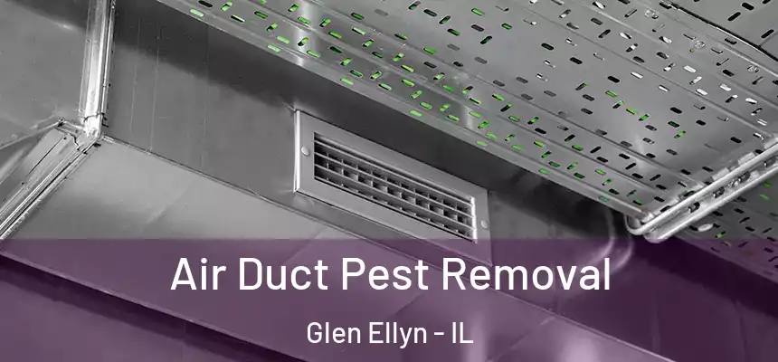  Air Duct Pest Removal Glen Ellyn - IL