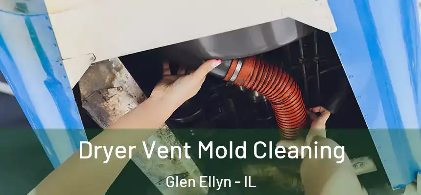 Dryer Vent Mold Cleaning Glen Ellyn - IL