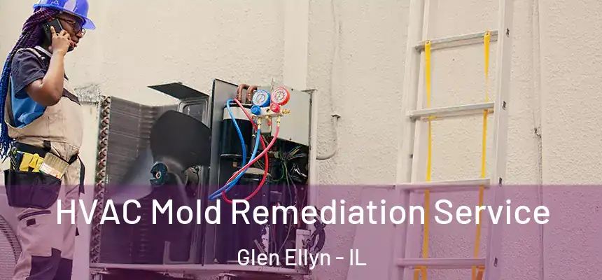  HVAC Mold Remediation Service Glen Ellyn - IL