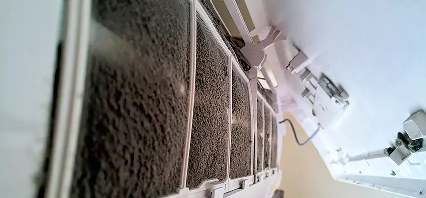 Preventive Air Duct Bacteria Removal in Glen Ellyn