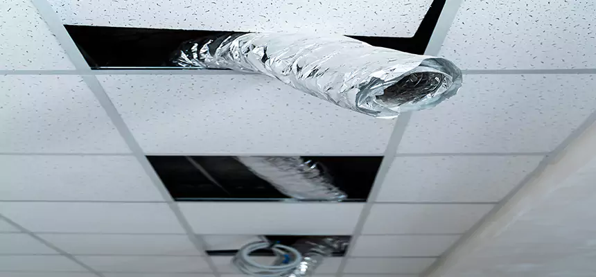 Affordable HVAC Sanitizing After Pest Removal in Glen Ellyn