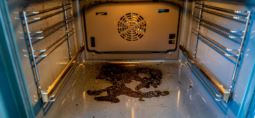 Our Dryer Vent Mold Cleaning Services in Glen Ellyn, IL