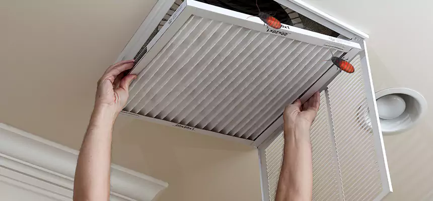 Our Insect Removal from Air Ducts Services in Glen Ellyn, IL