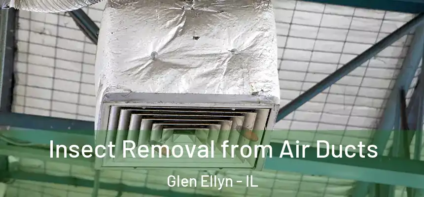  Insect Removal from Air Ducts Glen Ellyn - IL