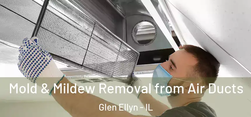  Mold & Mildew Removal from Air Ducts Glen Ellyn - IL