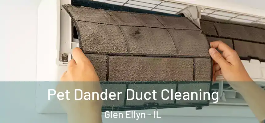 Pet Dander Duct Cleaning Glen Ellyn - IL