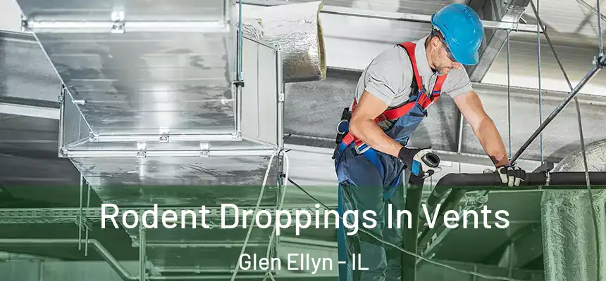  Rodent Droppings In Vents Glen Ellyn - IL