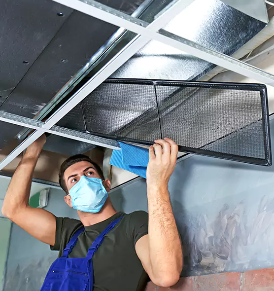 About Air Duct Bacteria Removal in Glen Ellyn
