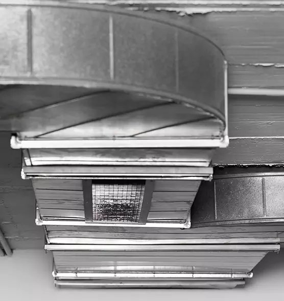 Professional Air Duct Pet Hair Removal in Glen Ellyn, IL