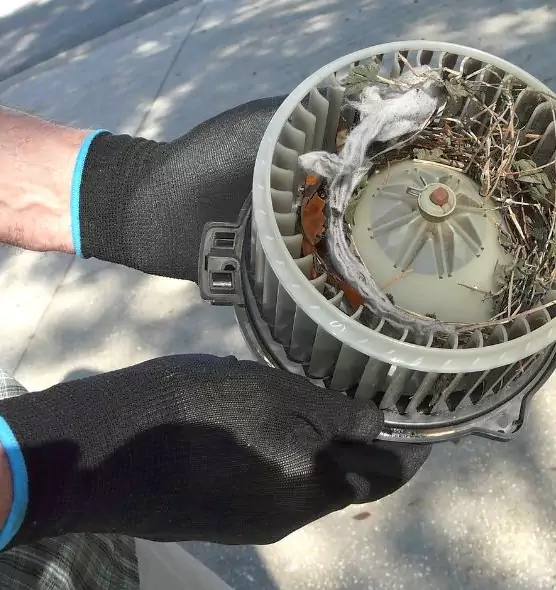 About Air Duct Rat Removal in Glen Ellyn, IL