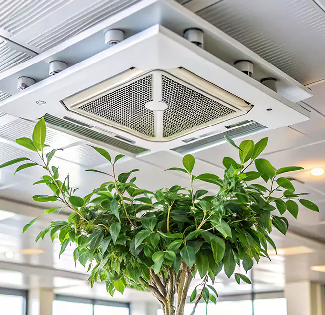 Why Homeowners & Businesses Trust Us in Glen Ellyn, IL