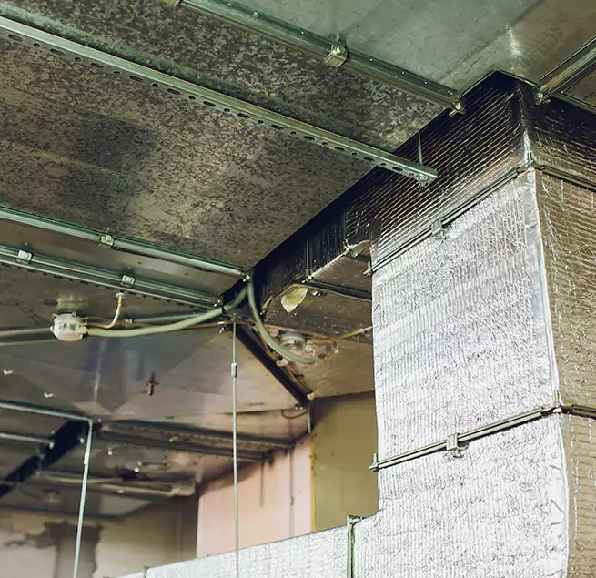 Why Homeowners & Businesses Trust Us in Glen Ellyn, IL?