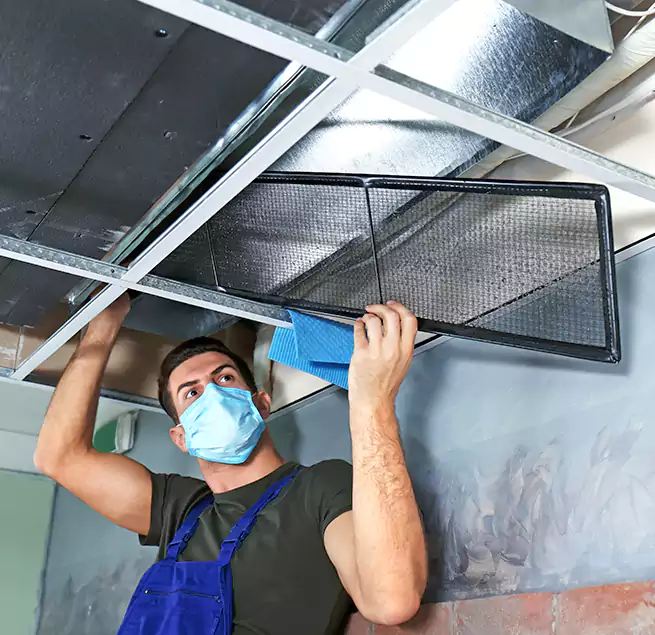 Why Homeowners Businesses Trust Us in Glen Ellyn, IL